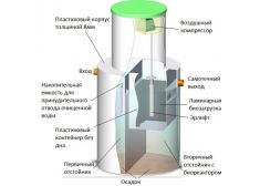 Панда Кинг 10